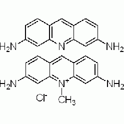 8048-52-0A800262 吖啶黄素, Cl,13.3-15.8%