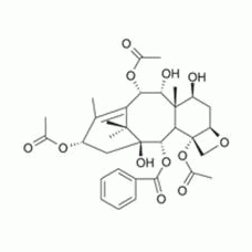 142203-65-4A800795 13-乙酰基-9-羟基巴卡丁III, 99%