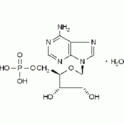 18422-05-4A800978 腺苷-5'-磷酸, from yeast,≥97%
