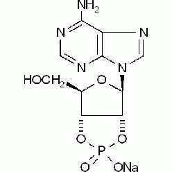 37063-35-7A801179 腺苷2':3'-循环磷酸钠盐, 97%