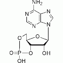 60-92-4A804842 腺苷环磷酸酯, 99%