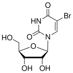957-75-5B803860 5-溴尿苷, 99%
