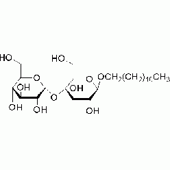 69227-93-6D806359 十二烷基-β-D-麦芽糖苷, 99%