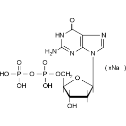 102783-74-4D807994 2'-脱氧鸟苷-5'-二磷酸钠盐, 98%