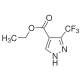 155377-19-8E809350 3-三氟甲基-1H-吡唑-4-羧酸乙酯, 97%