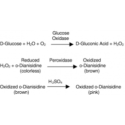 9001-37-0G810483 葡萄糖氧化酶  来源于黑曲霉, 冻干粉, >180 U/mg