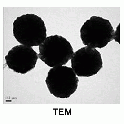 1309-37-1I814277 γ-三氧化二铁磁性微球, 基质:SiO2,表面基团:-NH2,粒径