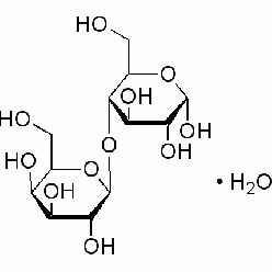 5989-81-1L812299 α-乳煻,一水合物, AR，≥98.0% (HPLC)