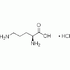 3184-13-2L815212 L-鸟氨酸盐酸盐, 98%