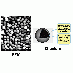 14808-60-7S814086 SLE 包埋式二氧化硅磁性微球, 基质:SiO2,表面基团:-N