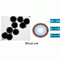 14808-60-7S814120 SLC 核壳式二氧化硅磁性微球, 基质:SiO2,表面基团:-E