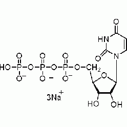 19817-92-6U820305 尿苷-5'-三磷酸酯 三钠盐 水合物(UTP Na3), 95%
