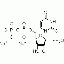 27821-45-0U820306 尿苷-5'-二磷酸 二钠盐 水合物, ≥96.0% (HPLC)