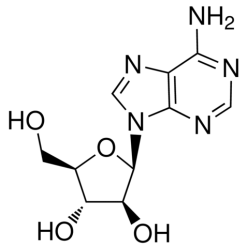 5536-17-4V820497 阿糖腺苷, 99%