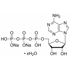 34369-07-8,987-65-5腺苷-5′-三磷酸 二钠盐 水合物