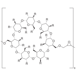 γ-Cyclodextrin polymer, soluble