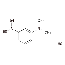 1256355-23-33-二甲氨基苯硼酸盐酸盐（含有不等量酸酐）