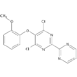 150728-13-54,6-二氯-5-(2-甲氧基苯氧基)-2,2'-双嘧啶